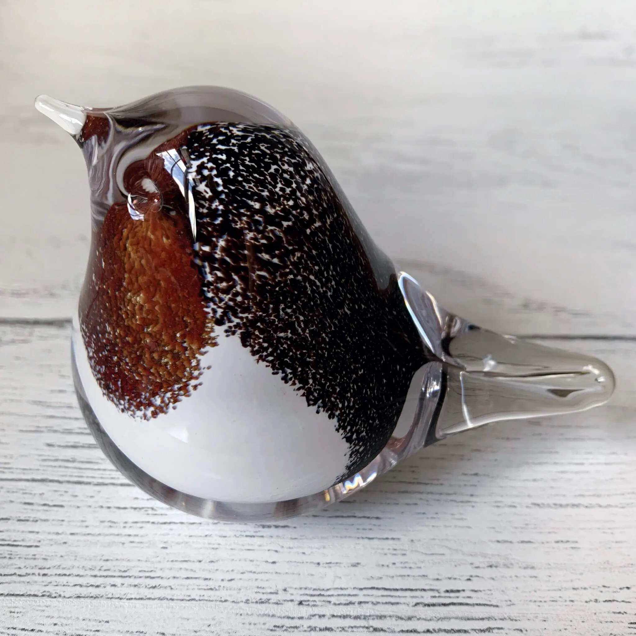 Glass Robin