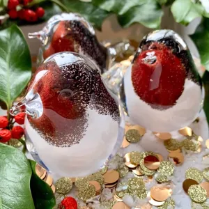 Glass Robin