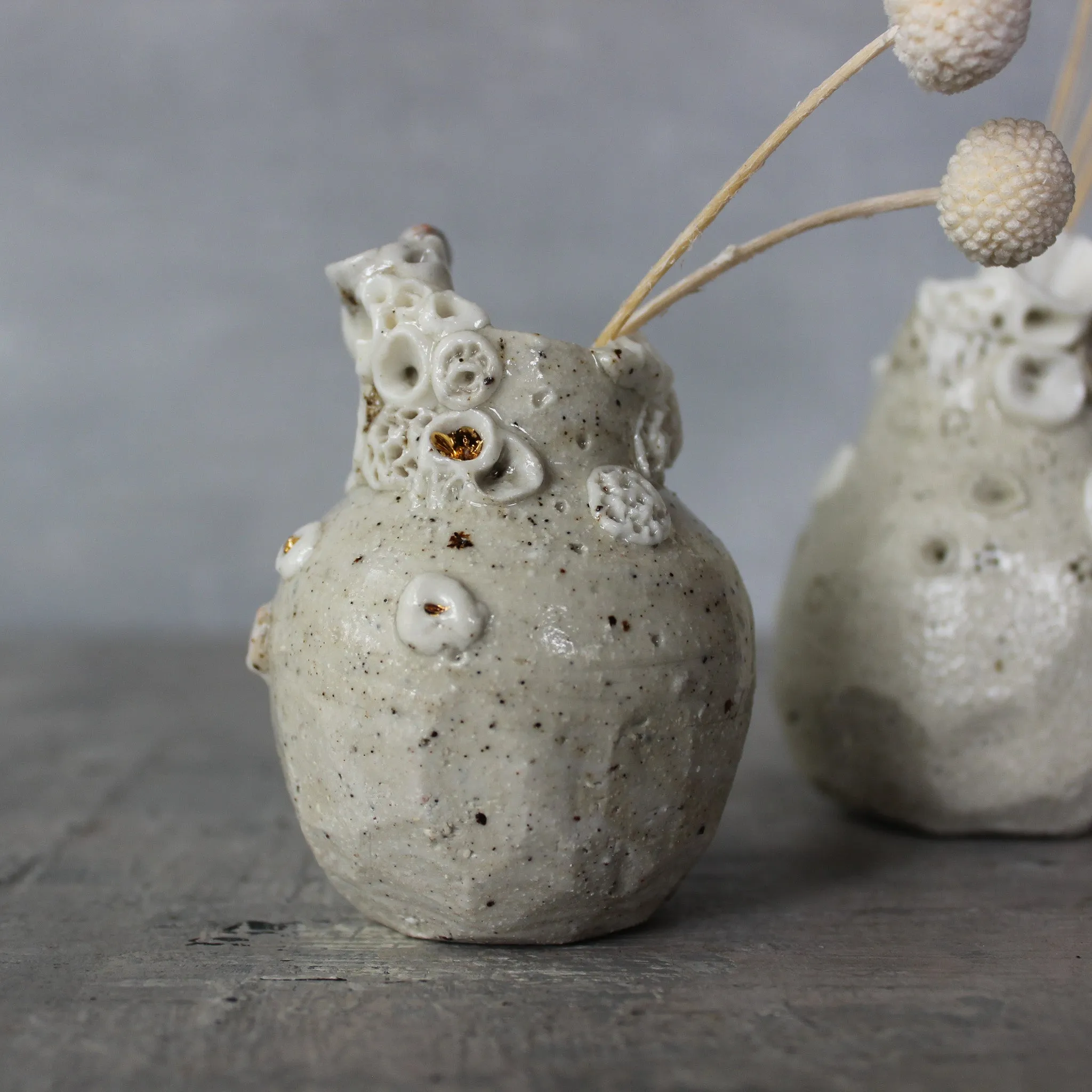 Little Rock Coral Vases